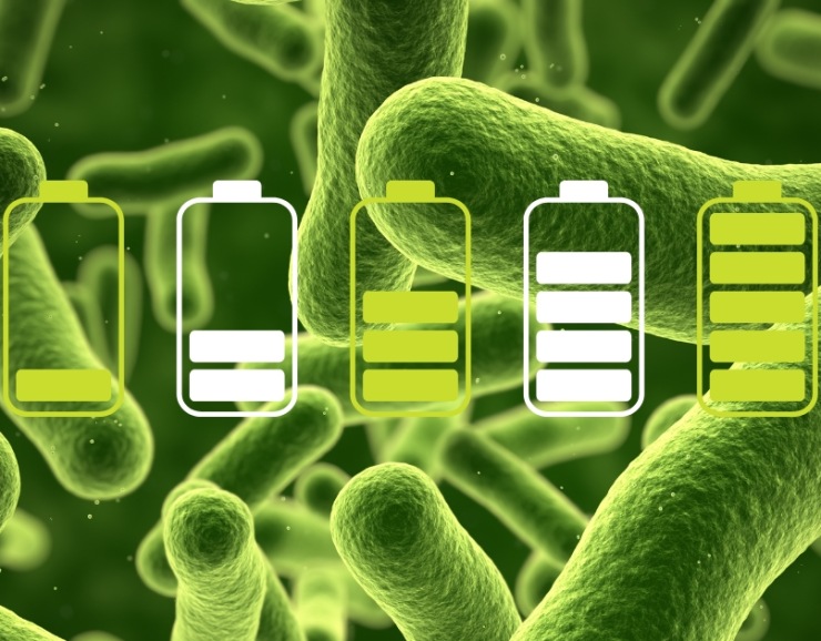 Using Bacteria to Recycle Portable Battery Packs